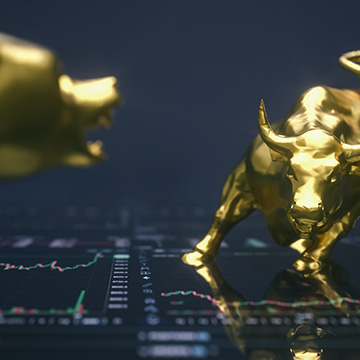 the bullish bear who we are